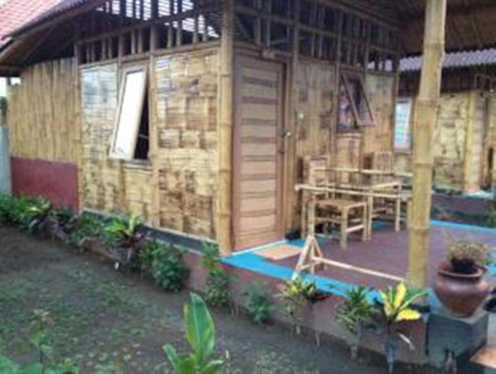 Little Woodstock Homestay Gili Trawangan Habitación foto